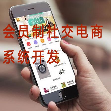 企业依据b2b2c商城系统开发app搭建自营的网上商城系统系统软件系统